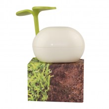 綠意嫩芽收納盒創意造型桌面收納盒97禮品