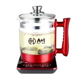 美容會所定制案例   多功能養生壺 煎藥壺