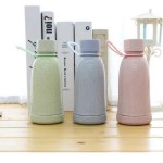 紅素 小麥秸稈色水杯 便攜隨手杯卡通環保水杯水杯 可定制logo