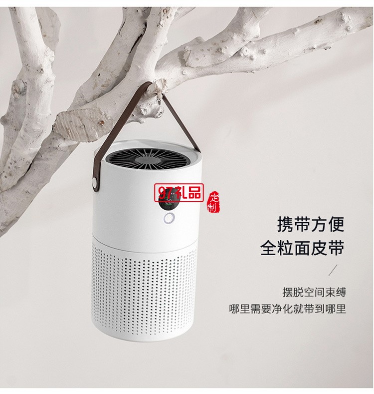 企業定制桌面凈化器除甲醛異味PM2.5辦公家用小型空氣凈化器