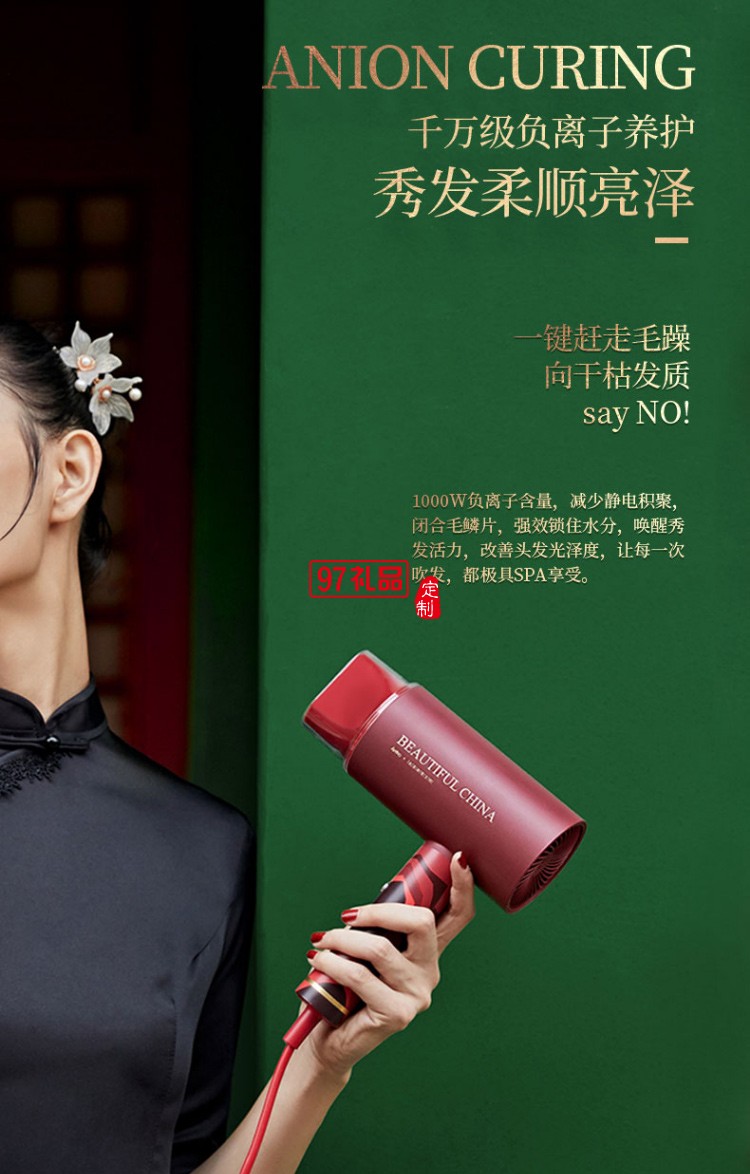 艾優Apiyoo×北京故宮文創  負離子吹風機