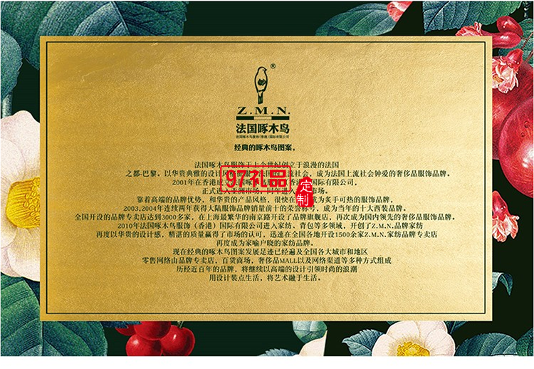 啄木鳥經典商務電腦背包-龍利ZRB-1916