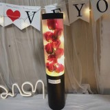 情人節520女朋友創意生日禮物 