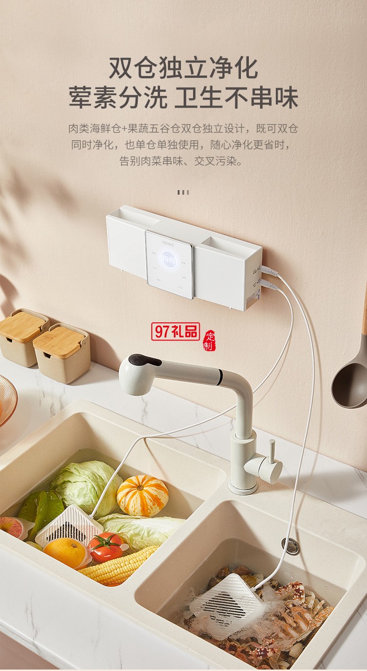 家用去農藥殘留凈化器 果蔬清洗機