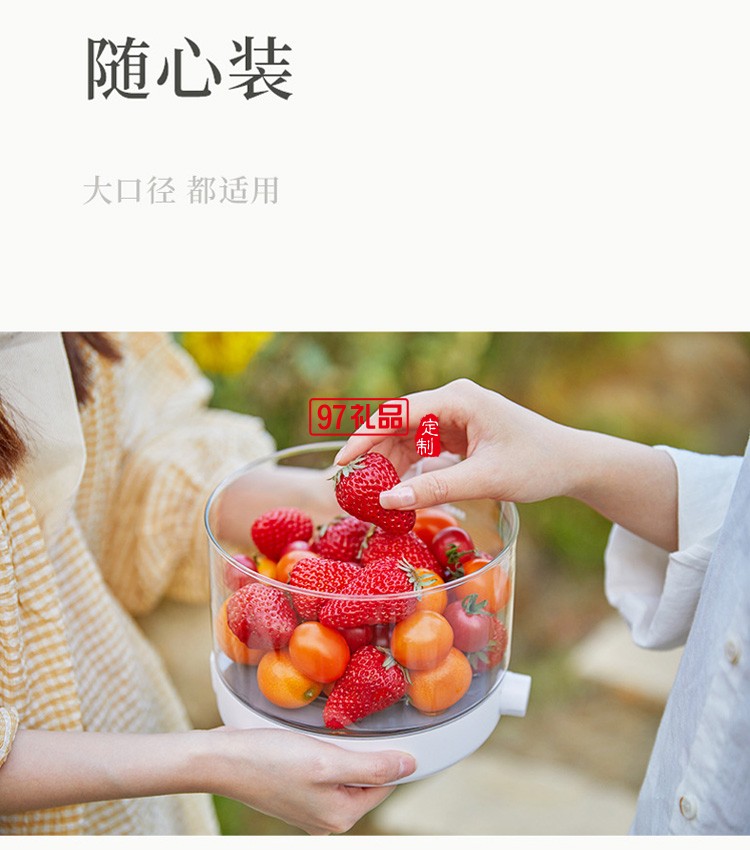 養生鍋煲湯電鍋電煮鍋多功能鍋燕窩燉盅養生壺燉鍋