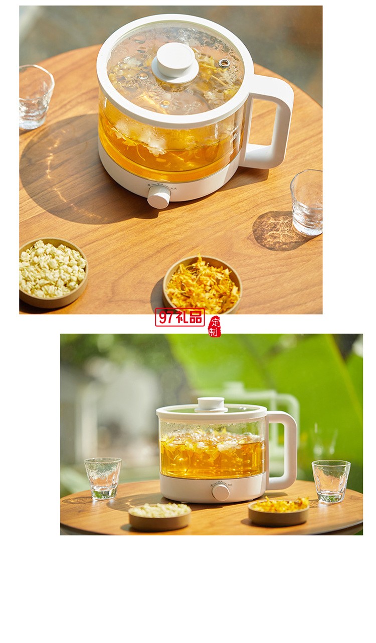 養生鍋煲湯電鍋電煮鍋多功能鍋燕窩燉盅養生壺燉鍋