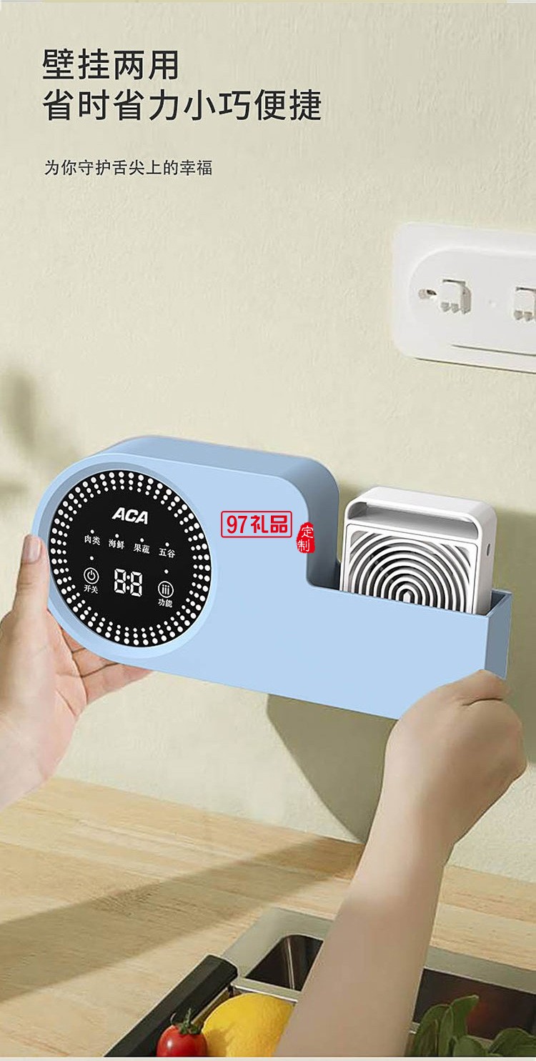  食材凈化器 洗機家用殺菌便攜ALY-H48GS01D定制公司廣告禮品