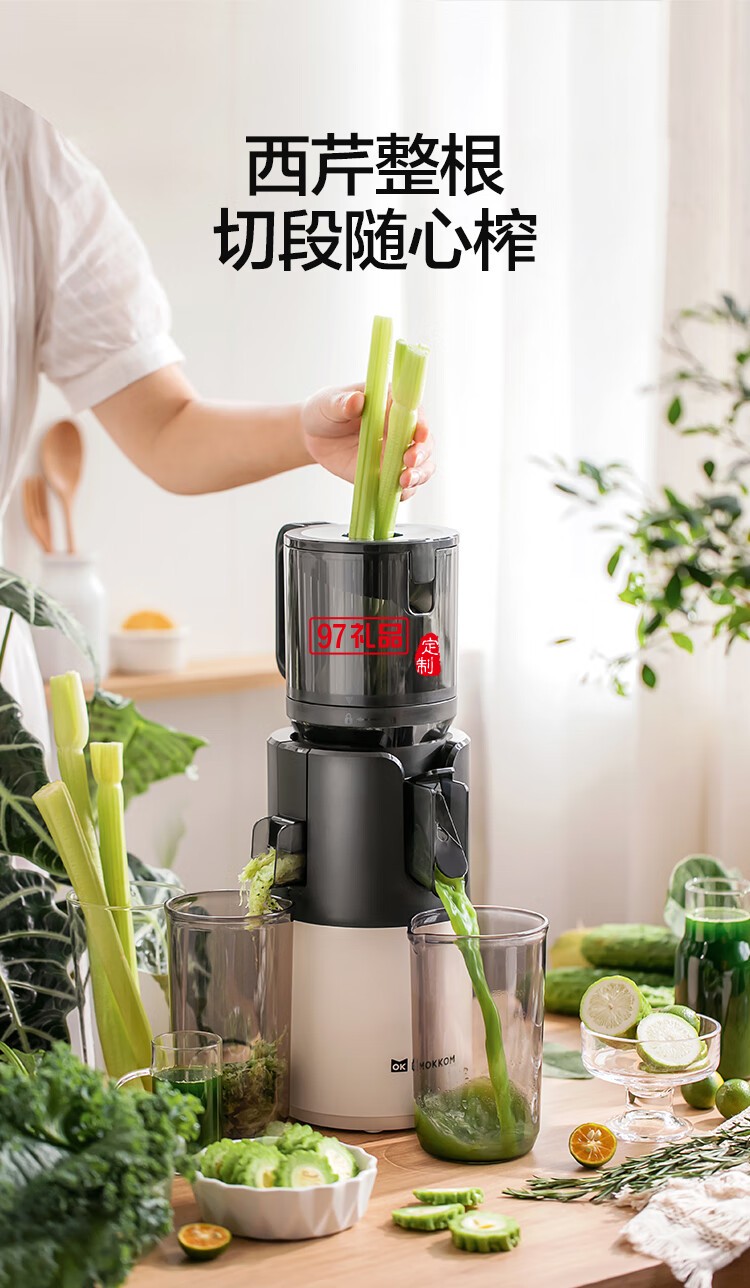 【二次榨】榨汁機原汁機 大口徑汁渣分離 渣汁分離果汁 家用多功能水果蔬